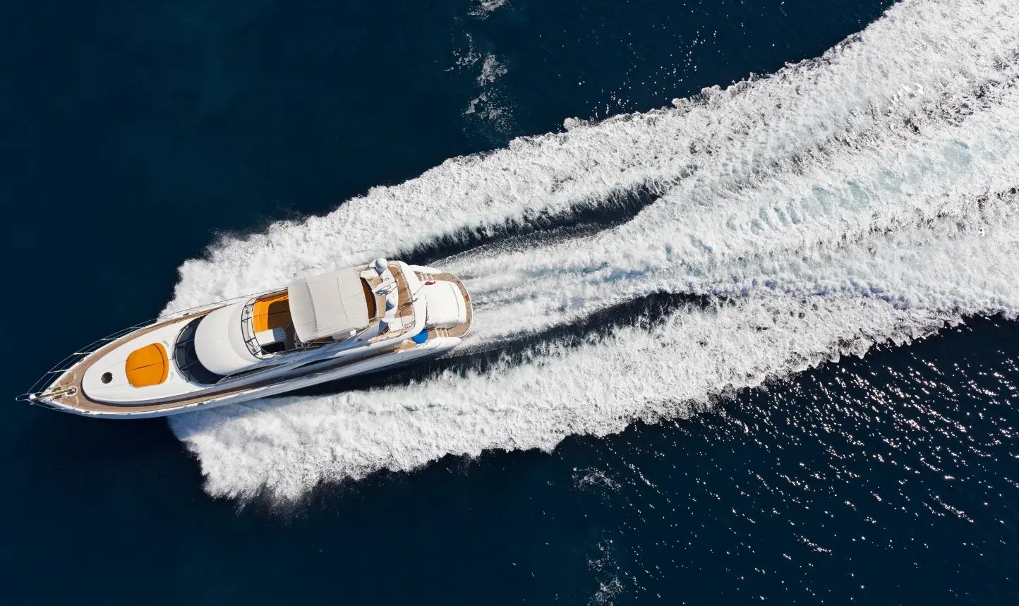 A COMPLETE ECOSYSTEM (2)